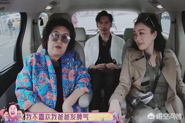杨烁妻子王黎雯:你觉得芒果台最近热播的综艺《我最爱的女人们》怎么样