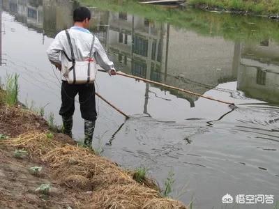 97年三条大鱼拦长江，还敢电鱼景东县8青年电鱼被抓, 你怎么看
