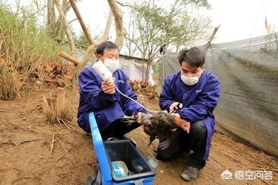海军观通站灵异事件:有哪些感人至深的著名散文值得分享？