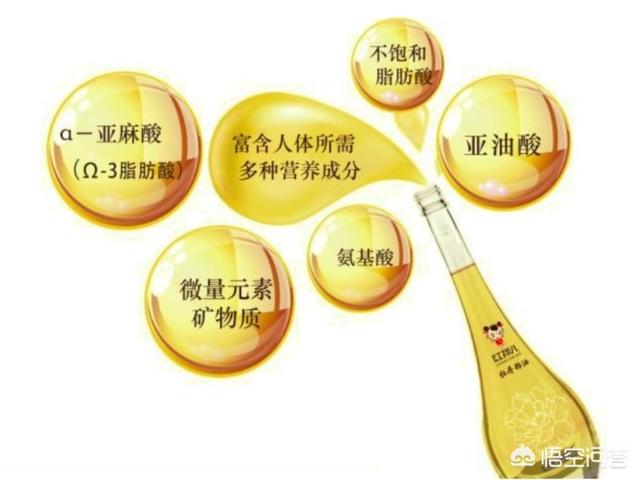 脂肪:人体脂肪也有好坏之分吗？