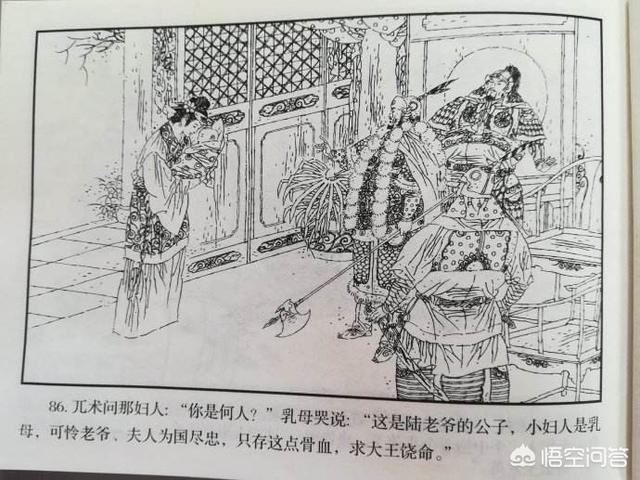 哈迷蚩:《岳飞传》小说当中，金兀术为什么要抚养陆文龙？