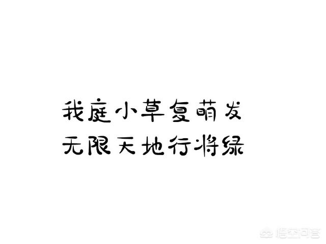 头条问答 你喜欢俳句吗 12个回答