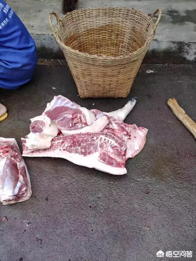 原肠动物病毒:非洲猪瘟病毒是否真的不传染人？误食瘟猪肉对人有没有伤害？