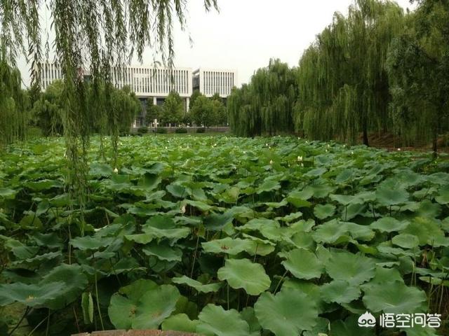 邯郸大学教室门:邯郸学院是一所什么档次的大学？