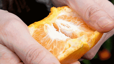 400_226gif 动态图 动图