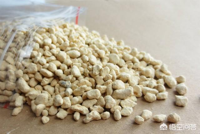 姬玉露和草玉露的区别:玉露表面有很多白色斑点是怎么回事？久了就慢慢烂根化水了？