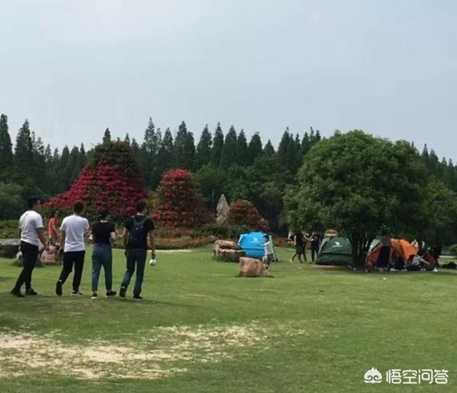 黄浦江源头:上海周边哪里有自带帐篷露营的地方