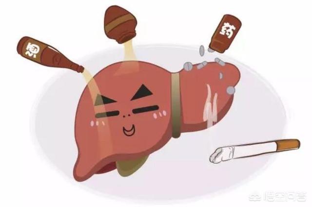 花清丹滋养型有排泄物:肝不好，会有“2处发臭”，“3处变色”，具体指哪里？