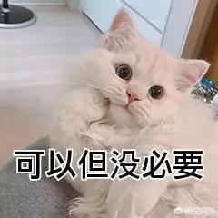 徐莹四级辣照:去过井冈山的朋友们，能否谈下感受