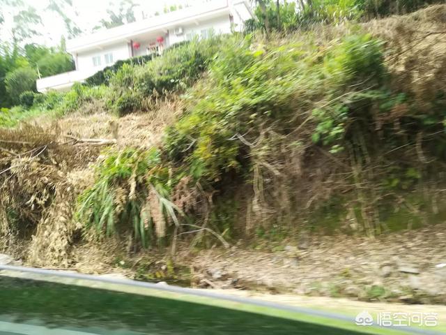 西安一夫妇外出旅游,母亲在家发病去世,幼女无人照看被活活饿死,对此大家怎么看？