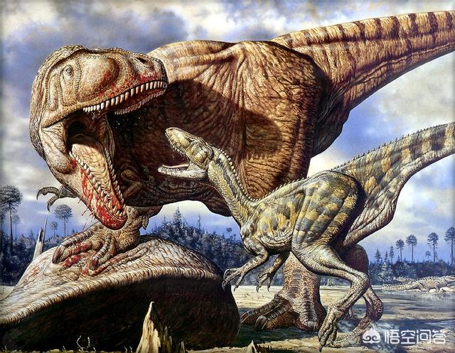中国复活三角龙，中国发现最强的食肉恐龙：诸城暴龙的战斗力算顶级吗