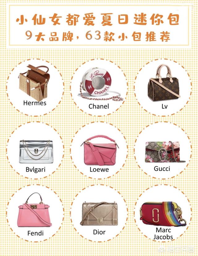gucci狗年波士顿梗犬刺绣25:有哪些适合年轻女孩儿背的大牌包包款式值得入手？