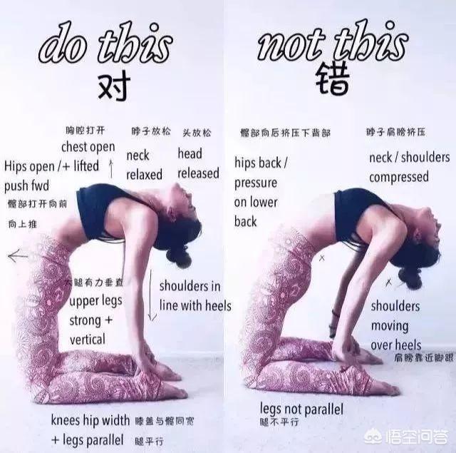 瑜伽狗:自学瑜伽，哪些动作容易练错？ 瑜伽狗头像