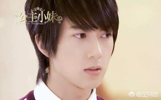 公主小妹剧情:《公主小妹》号称不老剧组，主演现在都怎么样了？