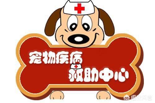 狗狗生病咨询软件下载:狗总是整夜或下半夜叫，算不算扰民？怎么让狗不叫？
