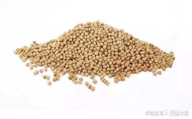 兔饲料饲料颗粒机:家庭养殖使用的饲料颗粒机划算吗？