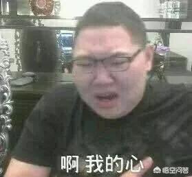 pdd老婆:pdd昨晚直播，收益千万，是成功人士吗？