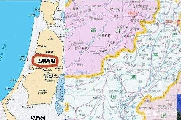 巴基斯坦和巴勒斯坦的地缘和政治关系如何？
