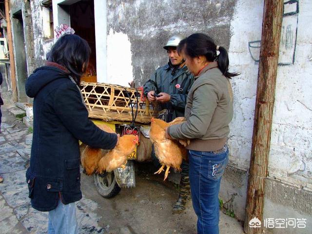 肉干销售渠道:快销食品的销售渠道有哪些？