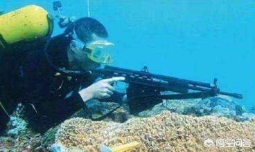 射水鱼会射击吗:子弹射到水中还有杀伤力吗？