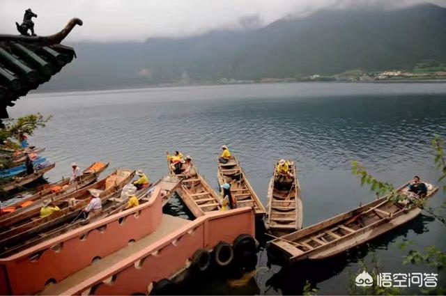 带宠物鸭扫大街萌翻网友:为什么摄影师都喜欢往四川跑？