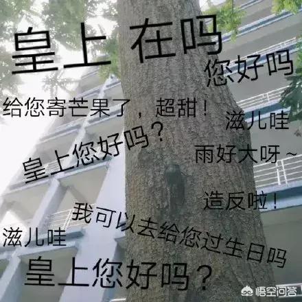 雍正历史:为何说雍正是历史上最逗比的皇帝？