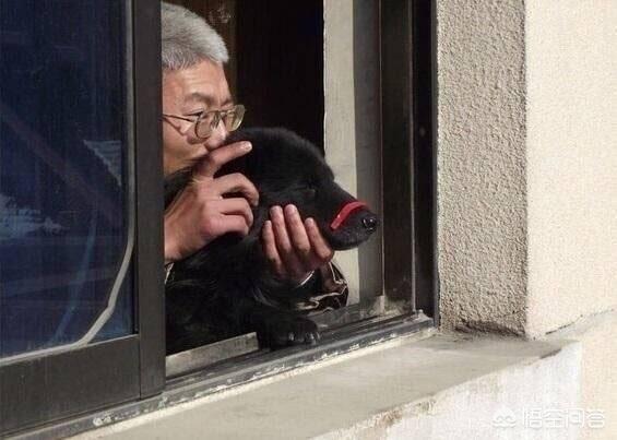 有哪些图片曾让你笑出眼泪(笑出眼泪的图片)