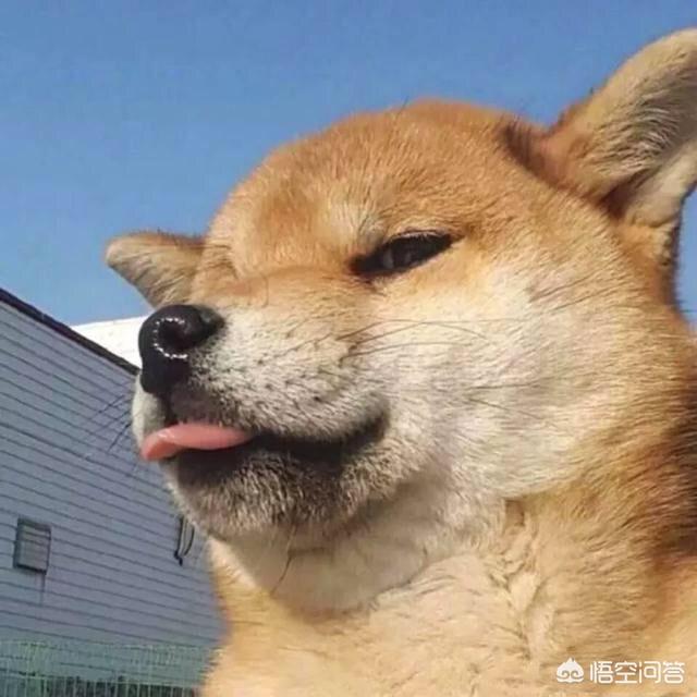 有哪些图片曾让你笑出眼泪(笑出眼泪的图片)