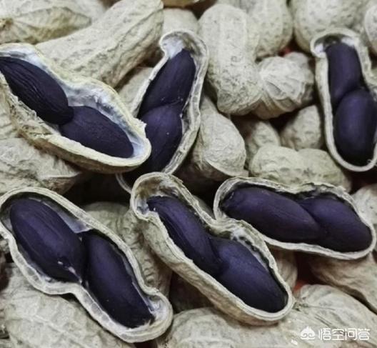 黑花生是转基因食品吗，紫土豆和黑玉米这些产品是转基因产品吗