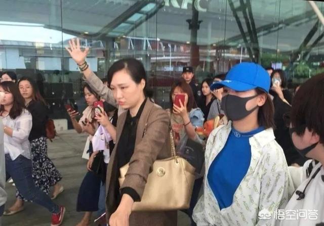 网曝杨紫机场被砸:如何看待杨紫机场被cp粉用礼物（花束）砸？