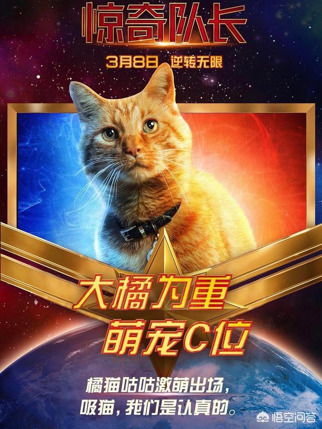 幕后玩家结局:《鼠胆英雄》网评两极分化，对此你怎么看