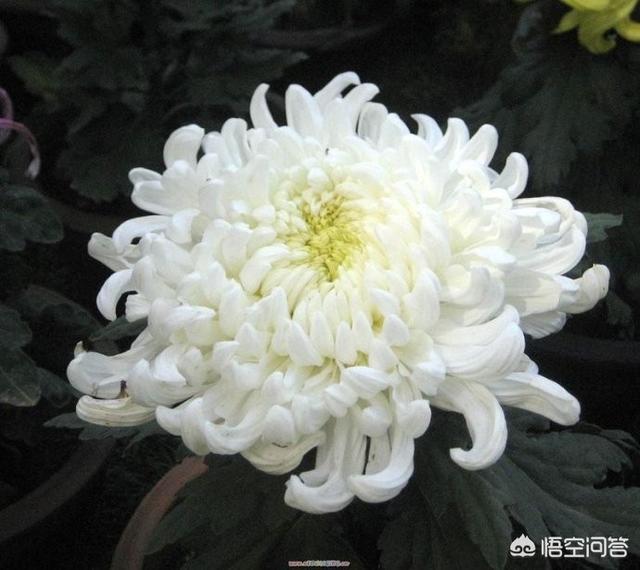 亲人去世了发到朋友圈里合适吗