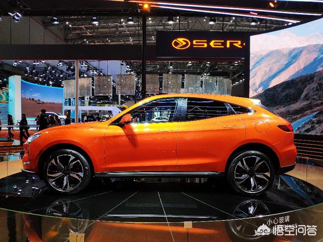 上海新能源车展，有谁去了上海车展吗？哪个电动汽车品牌比较有看头啊？