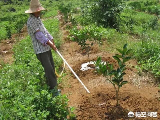 被大雨淋了好久身体没事吧?被大雨淋对身体的伤害