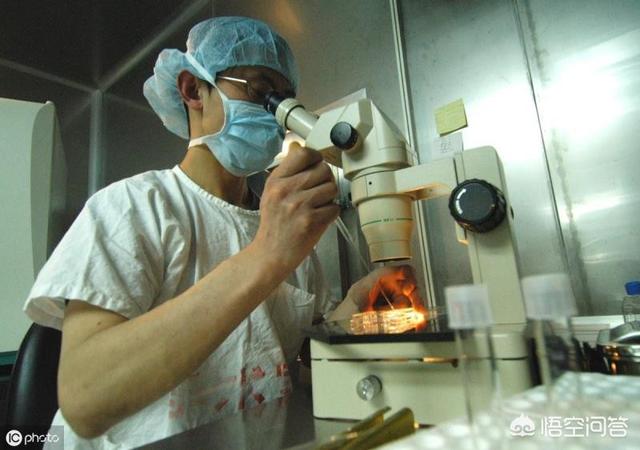 养牛人工配种技术视频:养牛方法的视频 怎样给发情的母牛人工授精？注意哪些事项？受胎率怎么样？