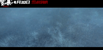 张震确定出演沙丘:张震、廖凡新片《雪暴》口碑爆棚，会成五一档期爆款吗