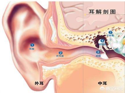 耳朵遭到破坏身体容易出现什么问题，耳朵进水对身体会造成什么样的伤害