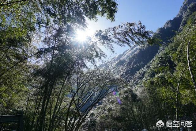 大熊猫误入水电站落水:中国土地质量最好的省是哪个？