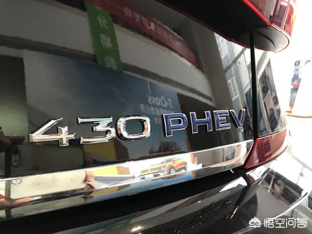 上海新能源车牌车型，拍上海牌照好还是买新能源车好