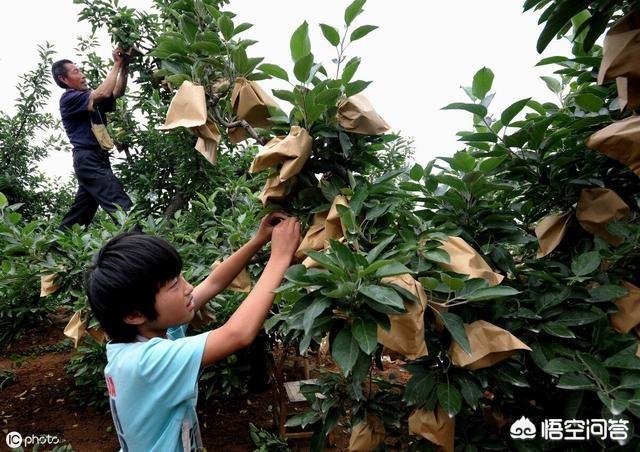 塑料袋垃圾到处都是，应不应该禁用(湿垃圾能用垃圾袋装吗)