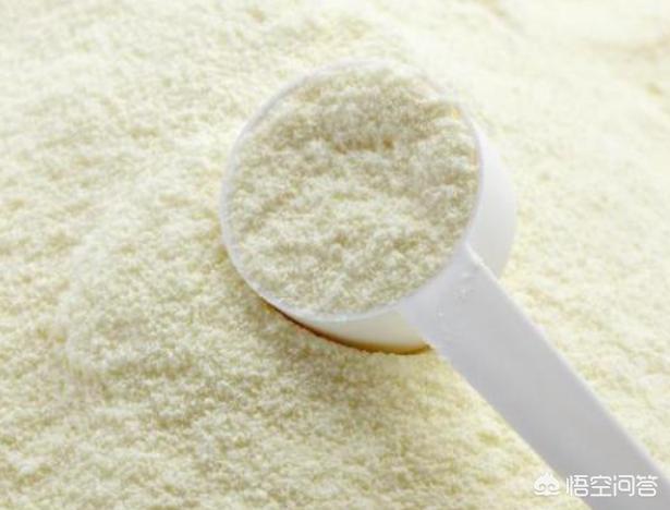 狗狗什么时候开始认主？插图14