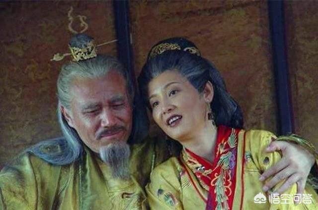第七马贵宾资料网:贵宾犬的智商相当于几岁的人？
