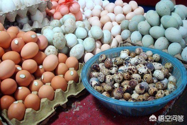 鸡蛋属于荤菜的理由是什么，鸡蛋鸭蛋鹅蛋属于荤菜还是素菜