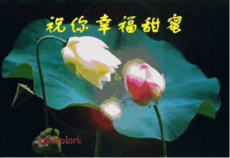 和女朋友道歉,说什么才最有效果？