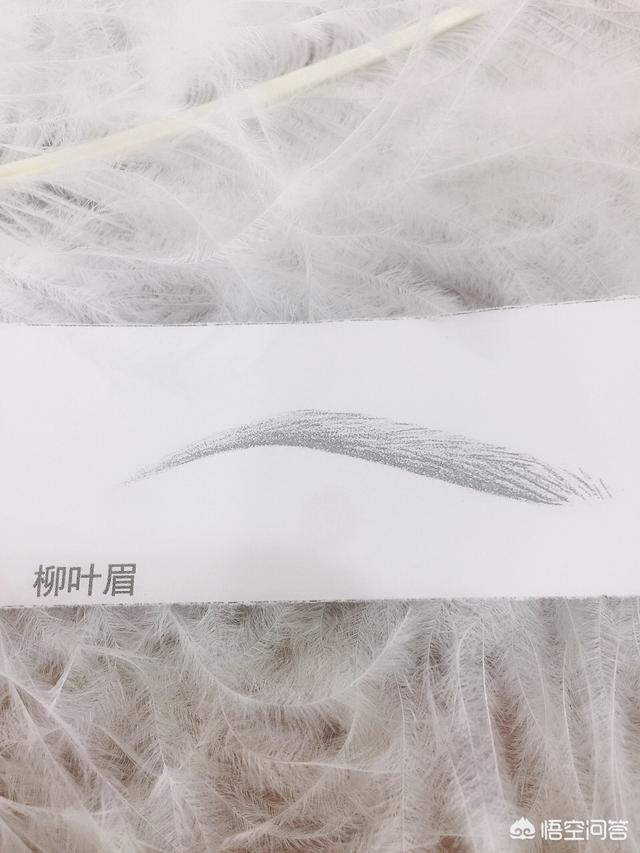 怎样学会眉毛的入门画法呢？插图44