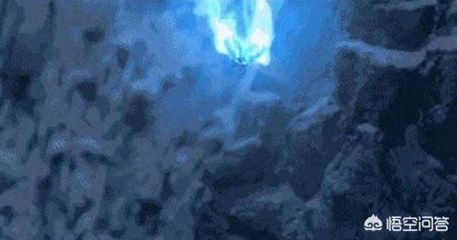 火瓢虫:火瓢虫到底是什么鬼？为什么不攻击Sherry杨？