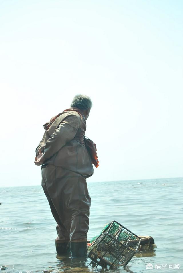 《老人与海》中桑地亚哥的生态观是什么样的？