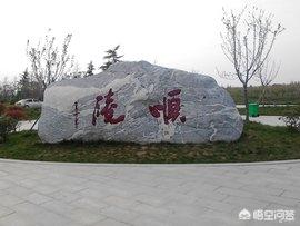 贺兰敏月:武媚娘传奇中李治最后知道是谁杀了他儿子李弘吗？