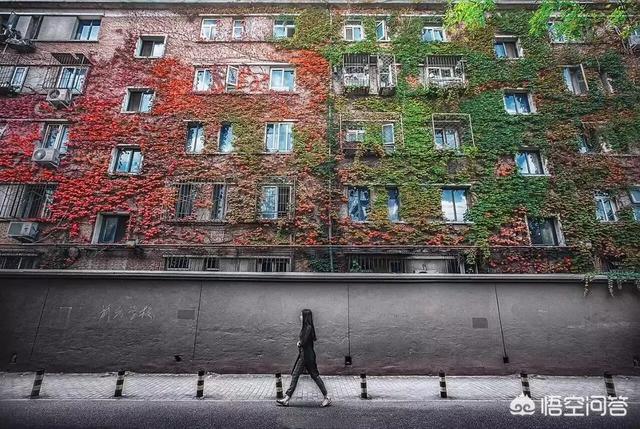 通货膨胀会造成房价上涨吗？插图5