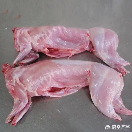 给猫的鸡胸肉怎么做:给猫的鸡胸肉怎么煮 想给猫咪做猫饭，该怎么搭配食材？